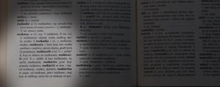 Izložba Muškarci, žene i jezik