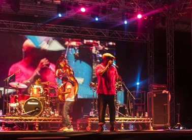 Prve laste Terraneo festivala