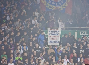 Pregažena crna mačka!